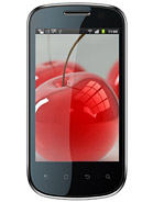 Best available price of Celkon A19 in Macedonia