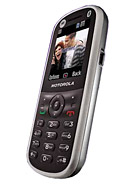Best available price of Motorola WX288 in Macedonia