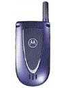 Best available price of Motorola V66i in Macedonia